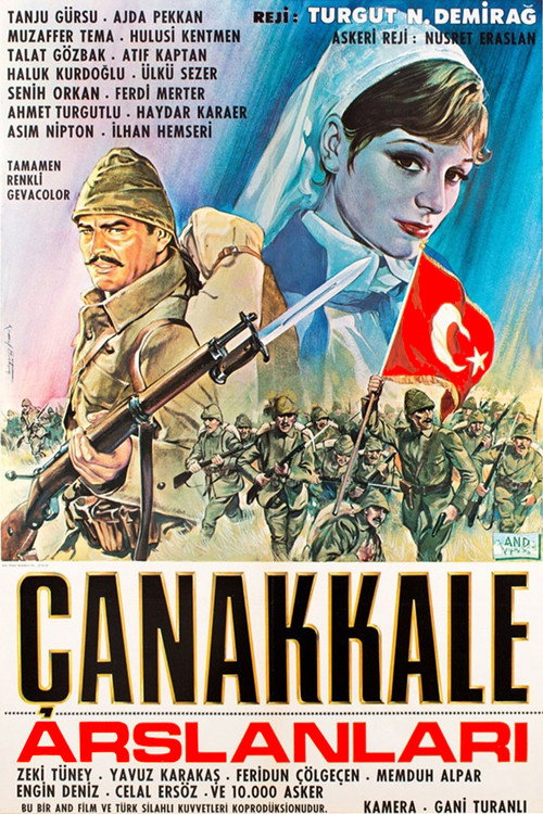 Movie poster for Çanakkale Aslanları (1964)