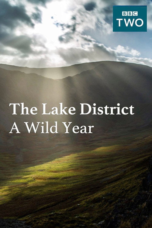 Movie poster for The Lake District: A Wild Year (2017)