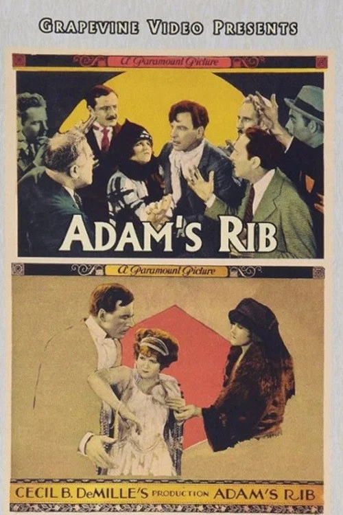 Movie poster for Adam's Rib (1923)