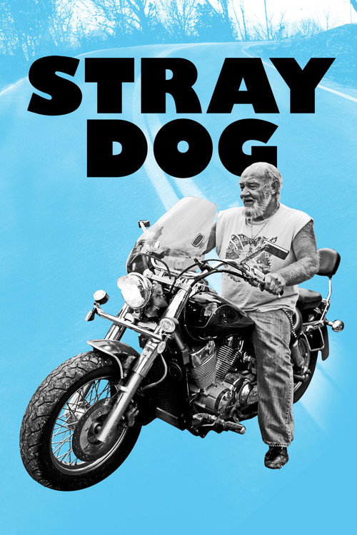 Movie poster for Stray Dog (2014)