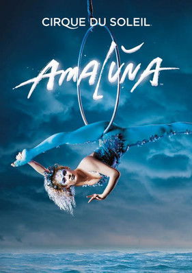 Movie poster for Cirque du Soleil: Amaluna (2013)