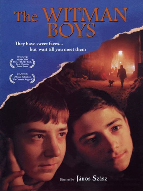 Movie poster for The Witman Boys (1997)
