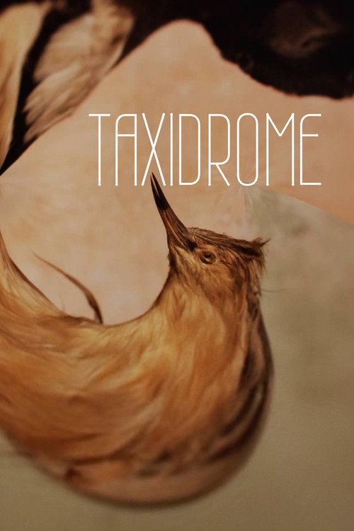 Movie poster for Taxidrome (2021)