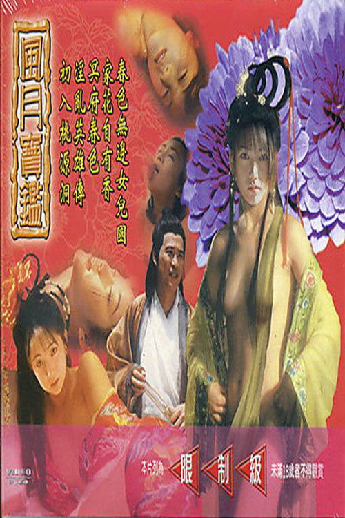 Movie poster for 风月宝鉴之初入桃源洞 (1999)