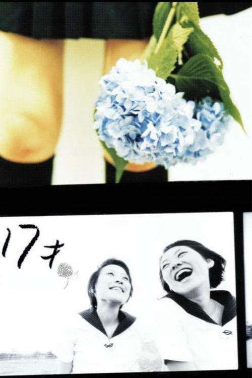 Movie poster for Age 17 (2003)