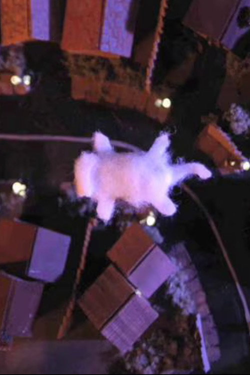 Movie poster for Airing Out the Cat