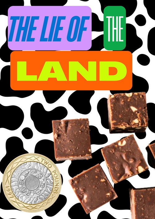 Movie poster for The Lie of the Land (2007)