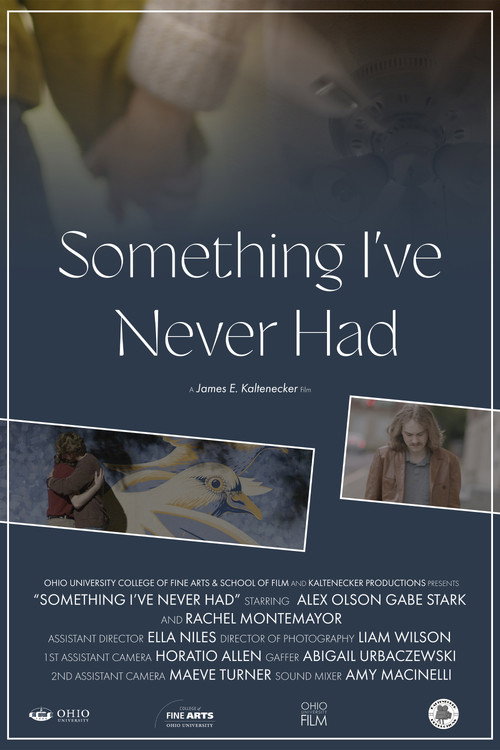 Movie poster for Something I've Never Had