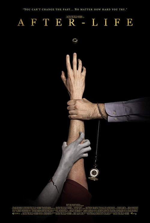 Movie poster for After-Life (2010)