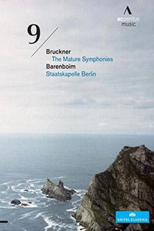 Movie poster for Bruckner Symphony No. 9 (2010)