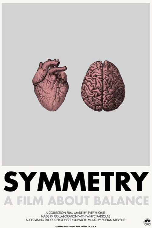 Movie poster for Symmetry (2011)