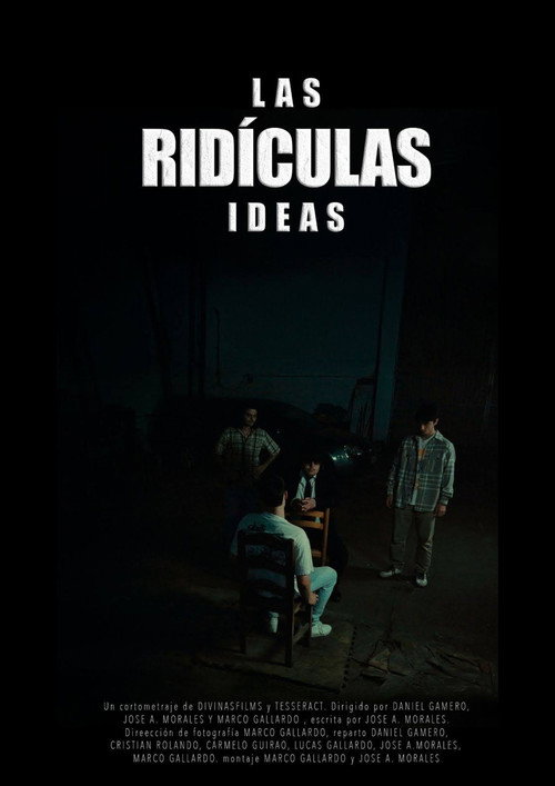 Movie poster for Ridiculous Ideas (2025)