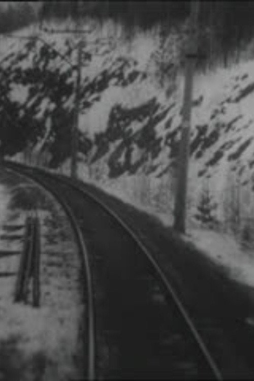Movie poster for Arrival of the Train (1995)