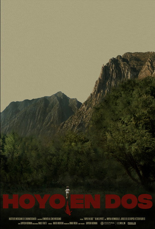 Movie poster for Hoyo en dos (2024)