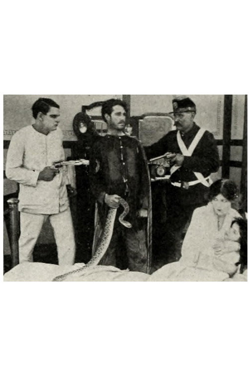 Movie poster for The Rattlesnake (1913)