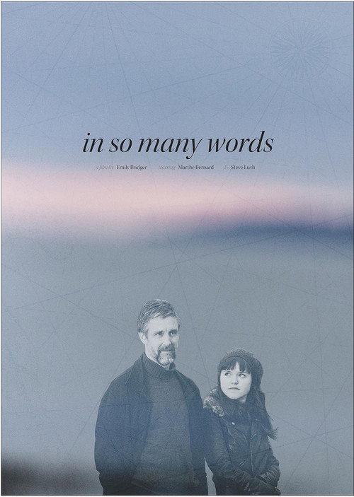 Movie poster for In So Many Words (2016)