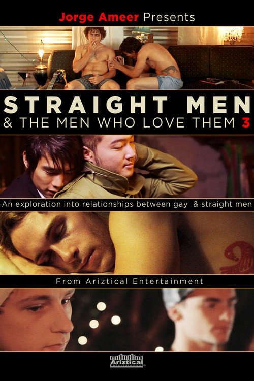 Movie poster for Straight Men & the Men Who Love Them 3 (2014)