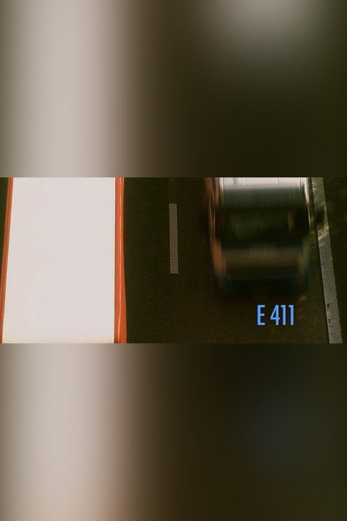 Movie poster for E411 (2007)