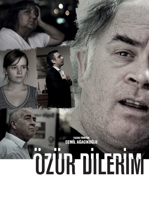 Movie poster for Özür Dilerim (2013)
