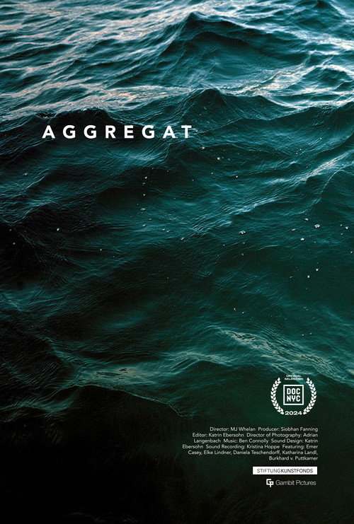 Movie poster for Aggregat (2024)