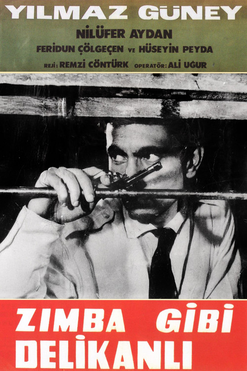 Movie poster for Zımba Gibi Delikanlı (1964)