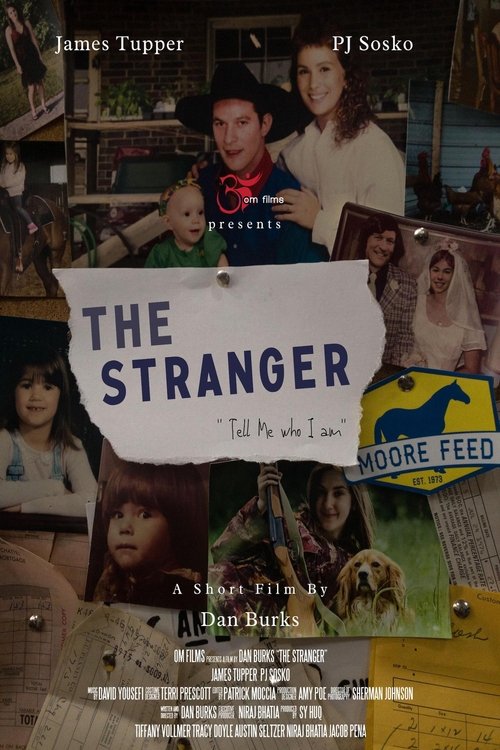 Movie poster for The Stranger (2022)