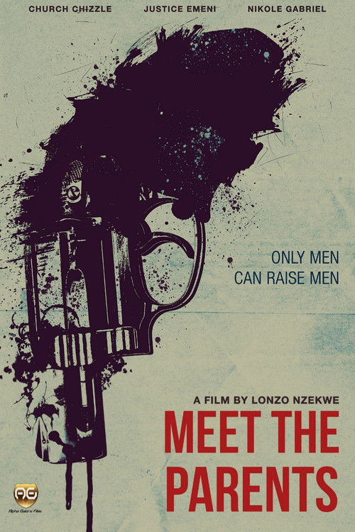 Movie poster for Meet the Parents (2016)