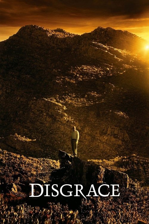 Movie poster for Disgrace (2008)