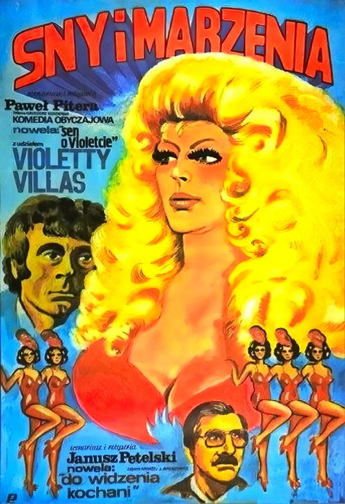 Movie poster for Sny i marzenia (1985)