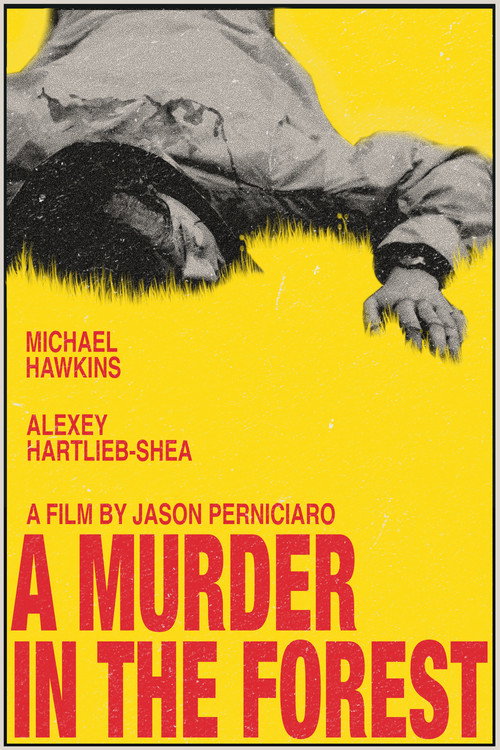 Movie poster for A Murder in the Forest