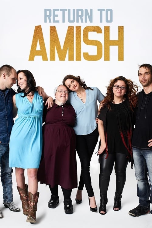 Series poster for Return to Amish (2014)