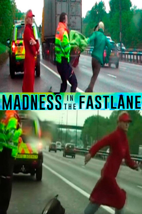 Movie poster for Madness in the Fast Lane (2010)
