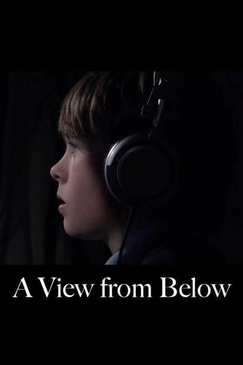 Movie poster for A View from Below