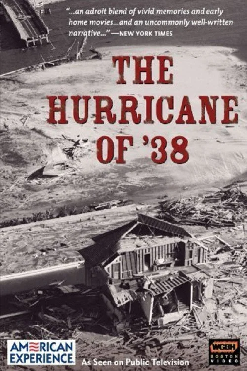 Movie poster for The Hurricane of '38 (1993)
