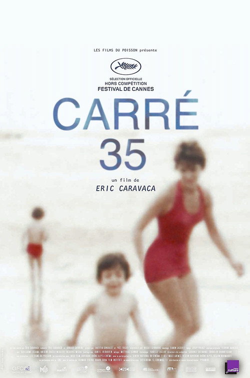 Movie poster for Plot 35 (2017)