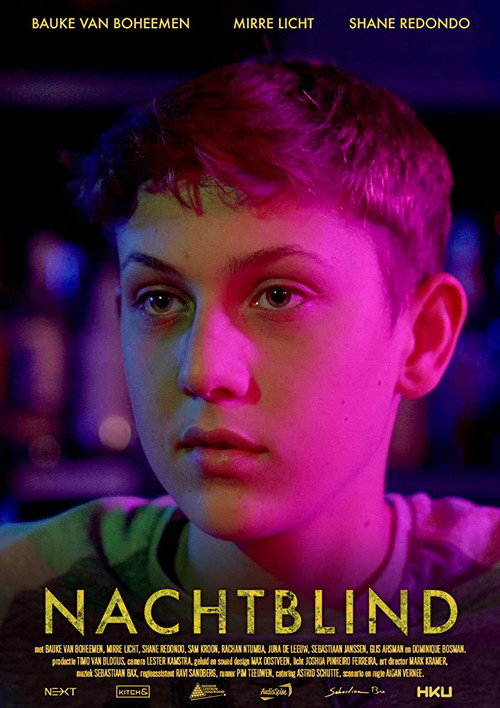Movie poster for Nachtblind (2020)