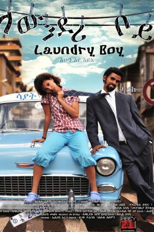 Movie poster for Laundry Boy (2010)