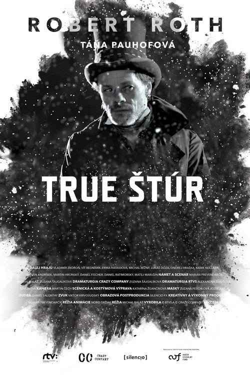 Movie poster for True Štúr (2015)
