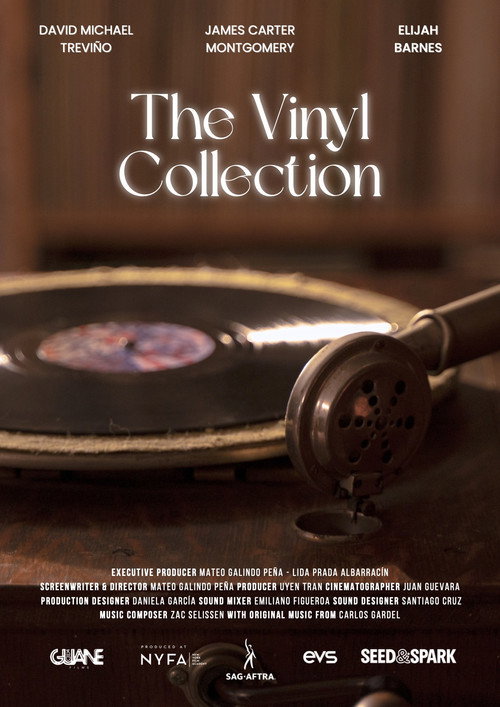 Movie poster for The Vinyl Collection