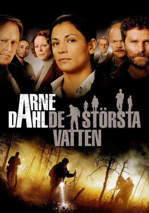 Movie poster for Arne Dahl: Many Waters (2012)
