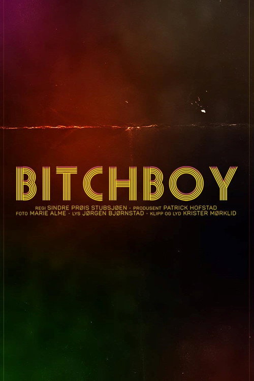Movie poster for Bitchboy