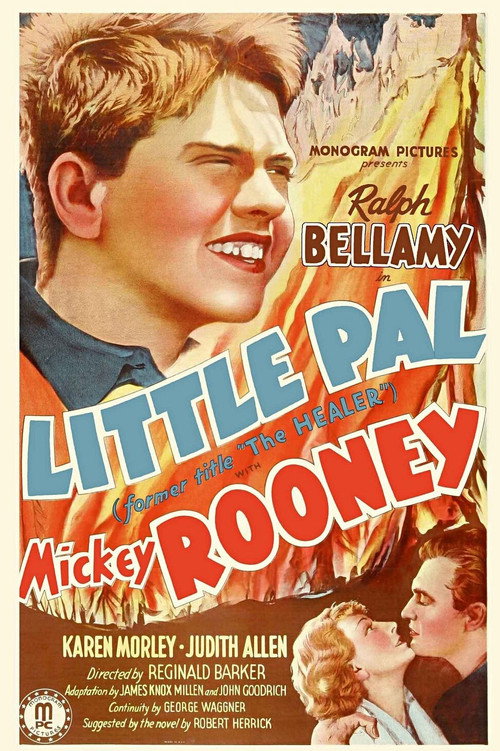 Movie poster for The Healer (1935)
