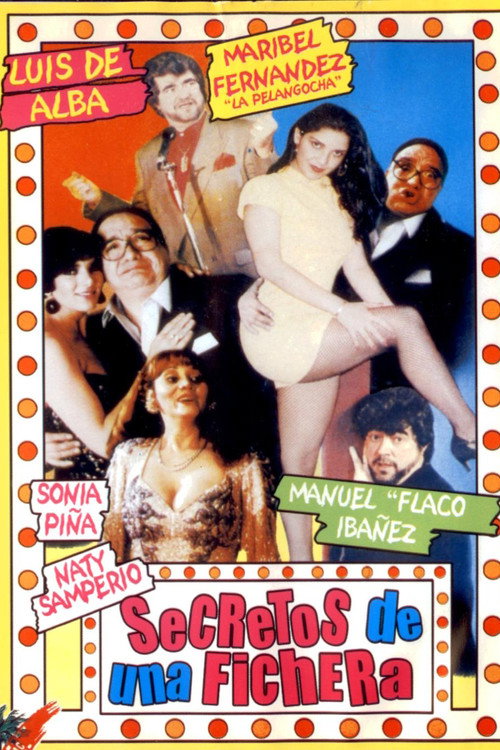 Movie poster for Secretos de una fichera (1993)