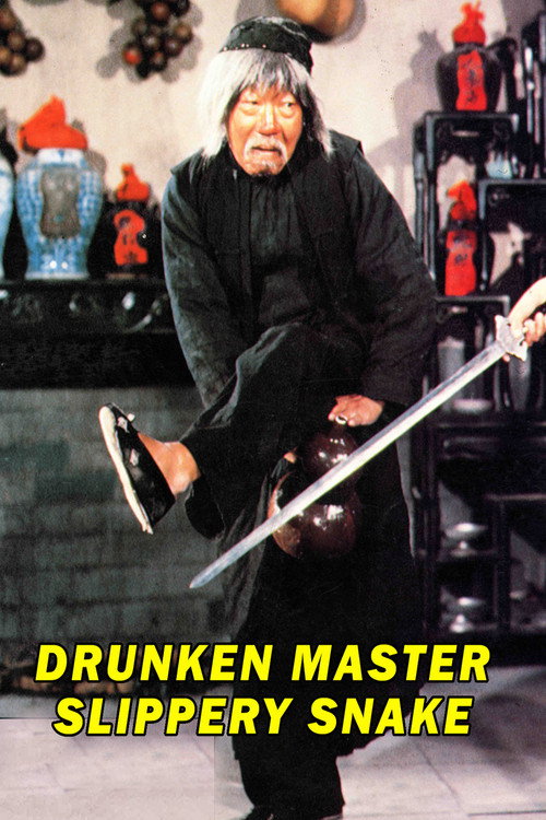 Movie poster for Mad Mad Kung Fu (1979)