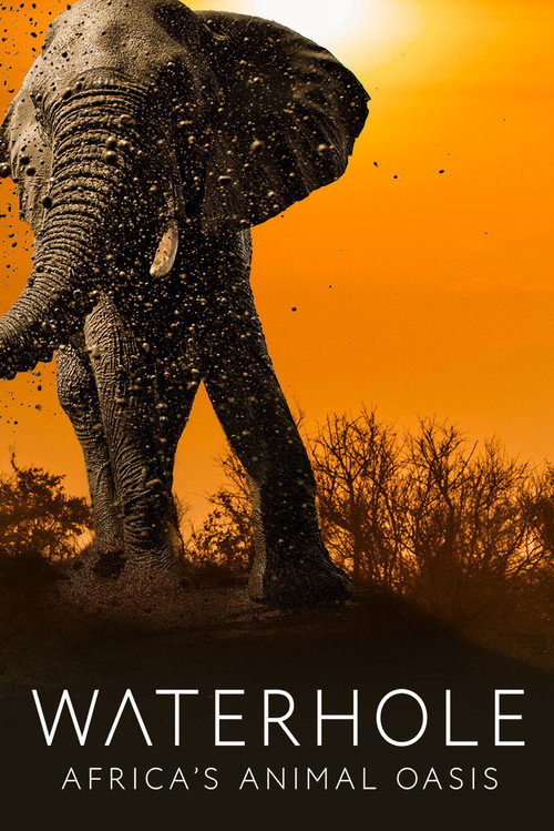 Series poster for Waterhole: Africa's Animal Oasis (2020)