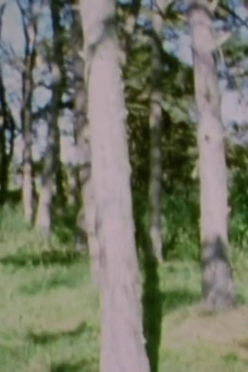 Movie poster for Aeterna melancholia (2013)