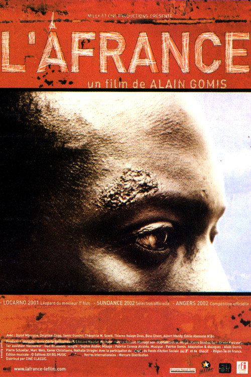 Movie poster for L'afrance (2001)