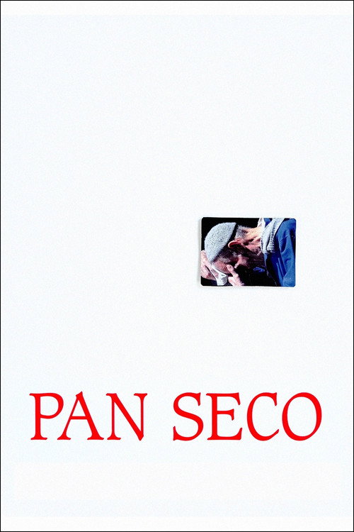 Movie poster for Pan seco (2020)