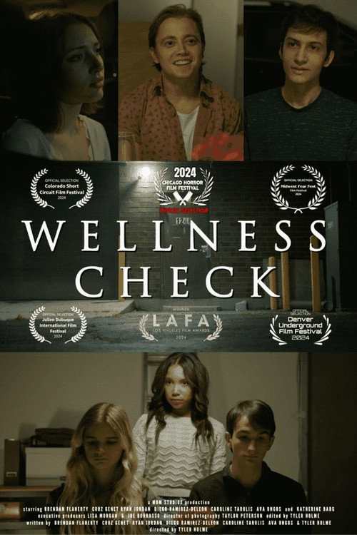 Movie poster for Wellness Check (2024)