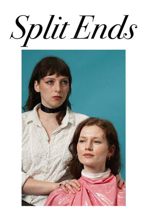 Movie poster for Split Ends (2024)